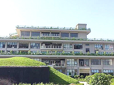 佛山星聯清水混凝土保護劑工程